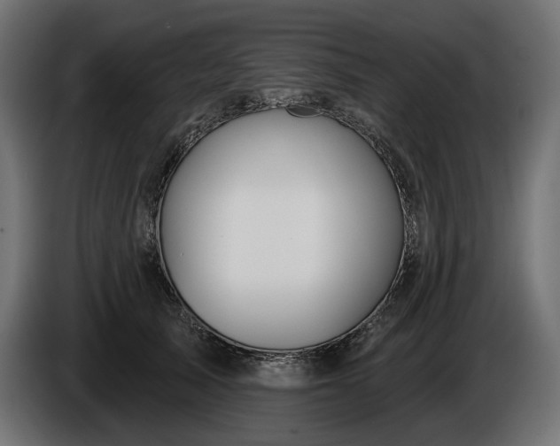 X0000086300705200704131609