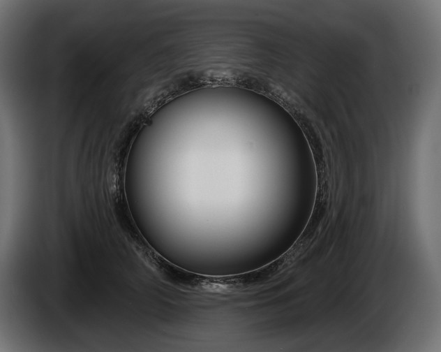 X0000086300706200704131609