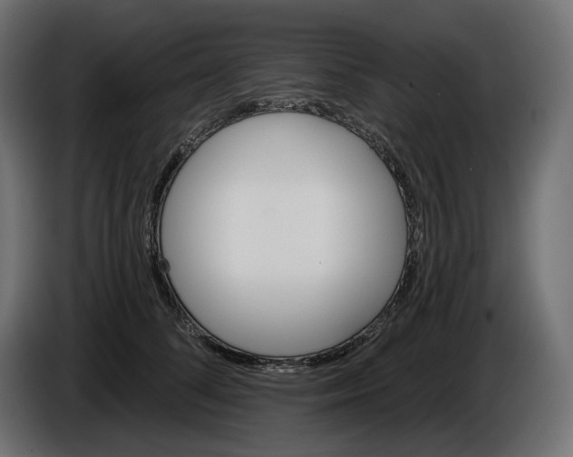 X0000086300708200704131609