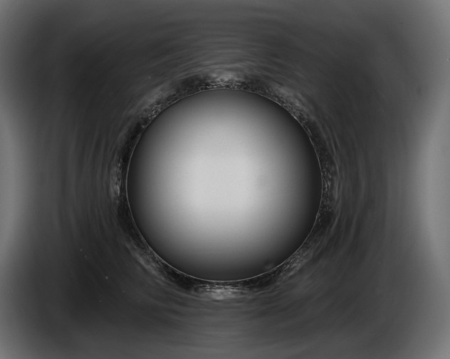 X0000086300710200704131609