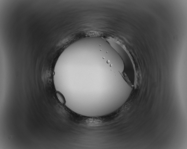 X0000086300714200704131609