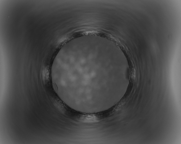 X0000086300715200704131609