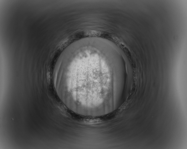 X0000086300716200704131609