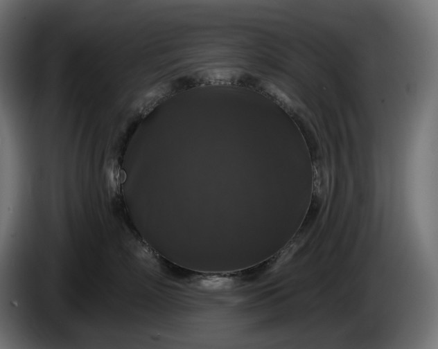 X0000086300718200704131609