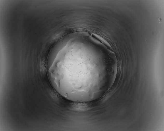 X0000086300719200704131609