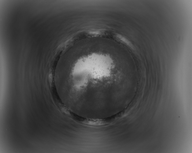 X0000086300720200704131609