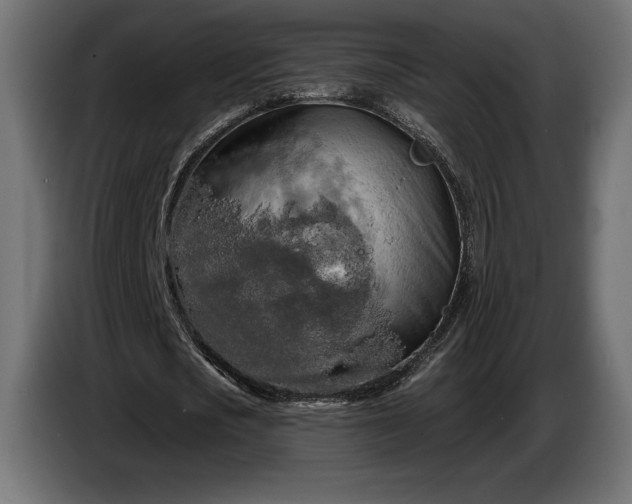 X0000086300721200704131609