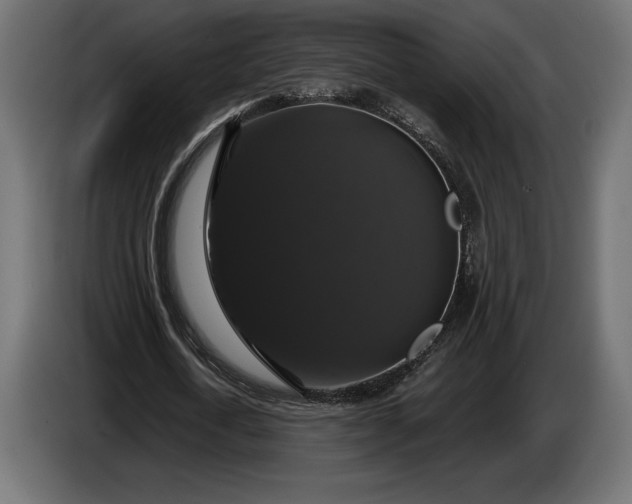 X0000086300722200704131609