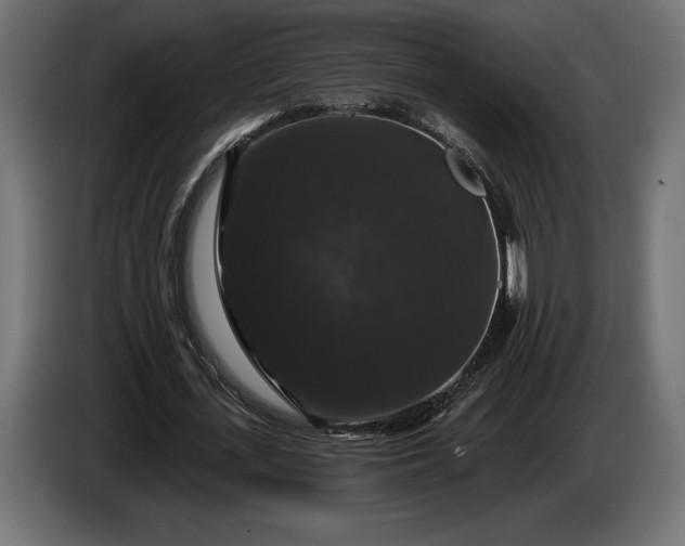 X0000086300723200704131609