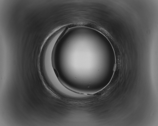 X0000086300726200704131609