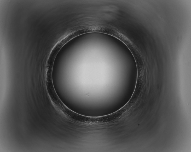 X0000086300730200704131609