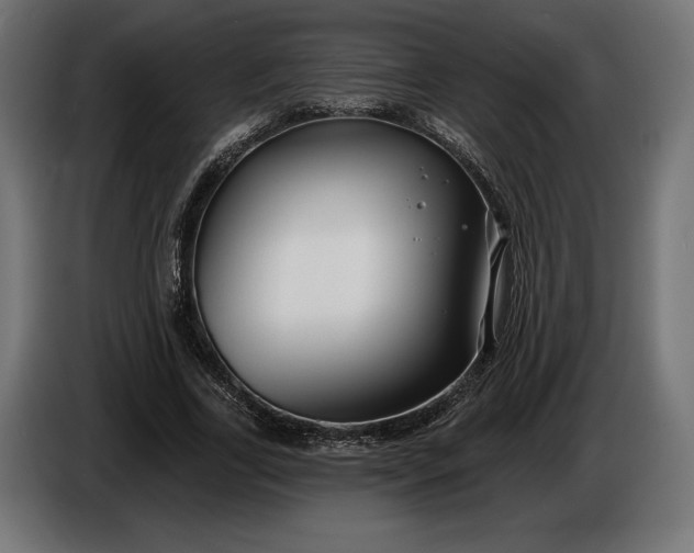 X0000086300731200704131609