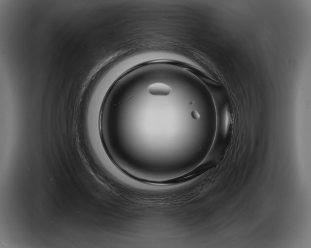 X0000086300732200704131609