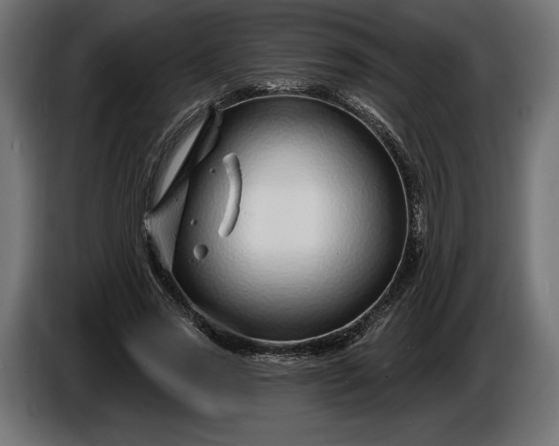 X0000086300733200704131609