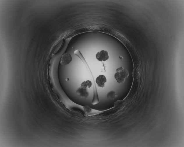 X0000086300734200704131609