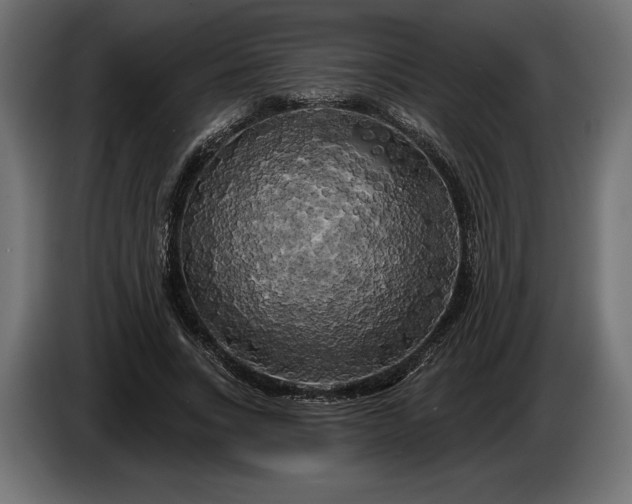 X0000086300735200704131609