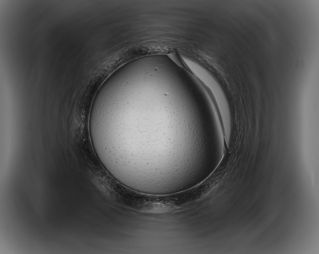 X0000086300737200704131609