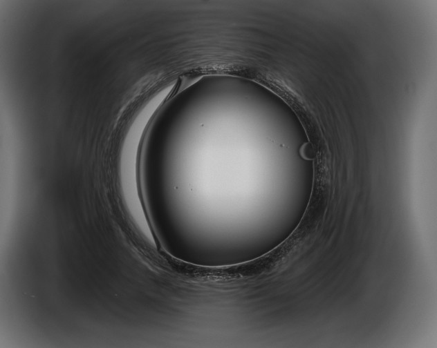 X0000086300738200704131609