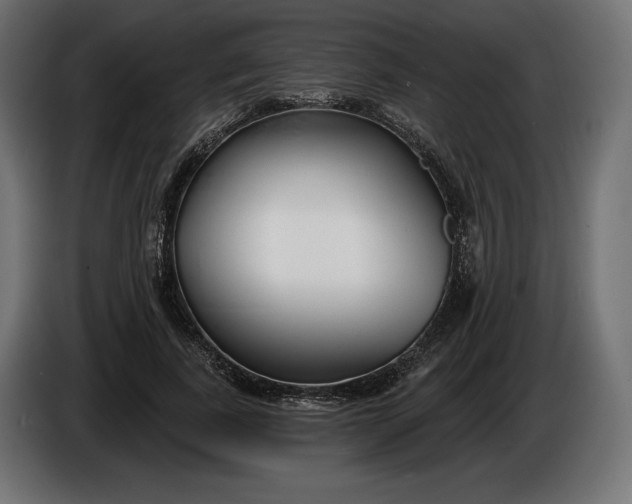 X0000086300739200704131609