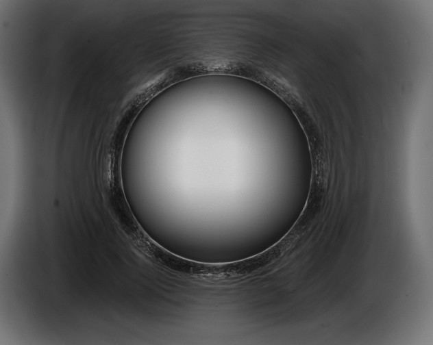 X0000086300740200704131609