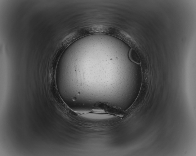 X0000086300741200704131609