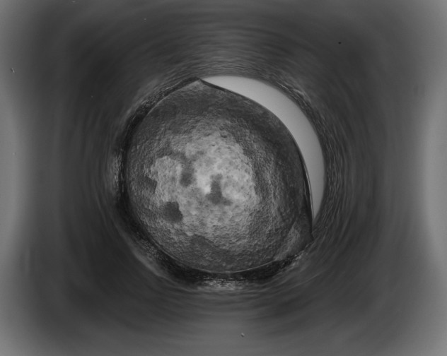 X0000086300742200704131609