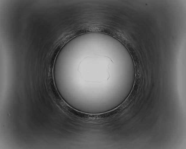 X0000086300744200704131609