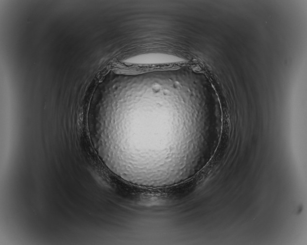 X0000086300745200704131609