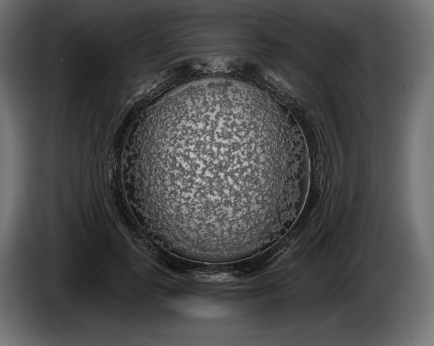 X0000086300747200704131609