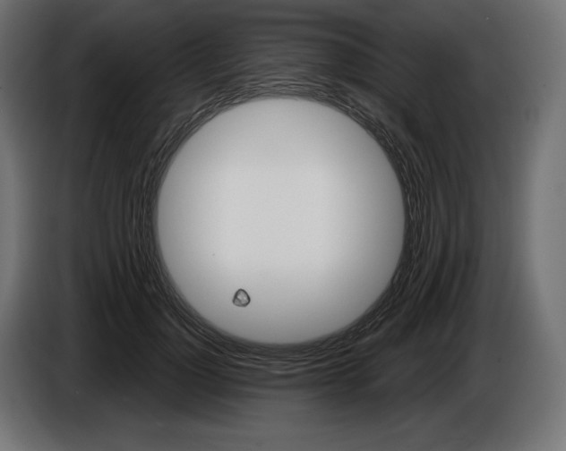 X0000086300748200704131609