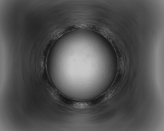 X0000086300749200704131609