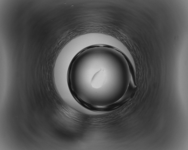 X0000086300750200704131609