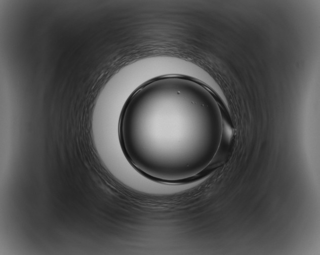 X0000086300752200704131609