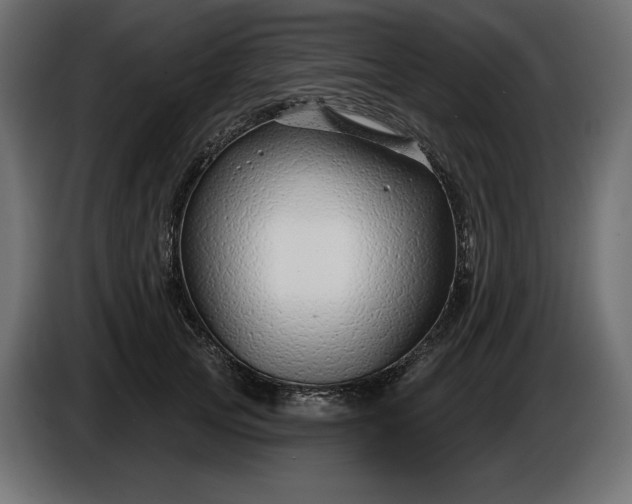 X0000086300753200704131609