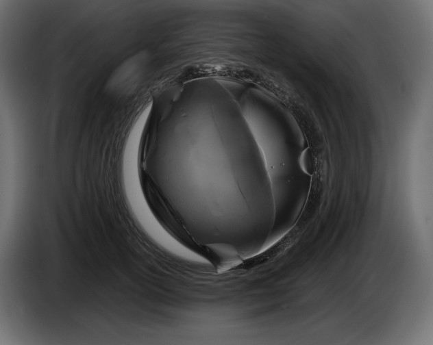 X0000086300754200704131609