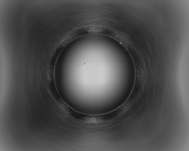 X0000086300755200704131609