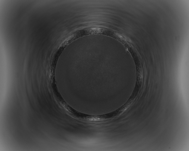 X0000086300759200704131609