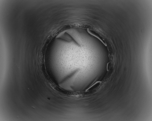 X0000086300760200704131609