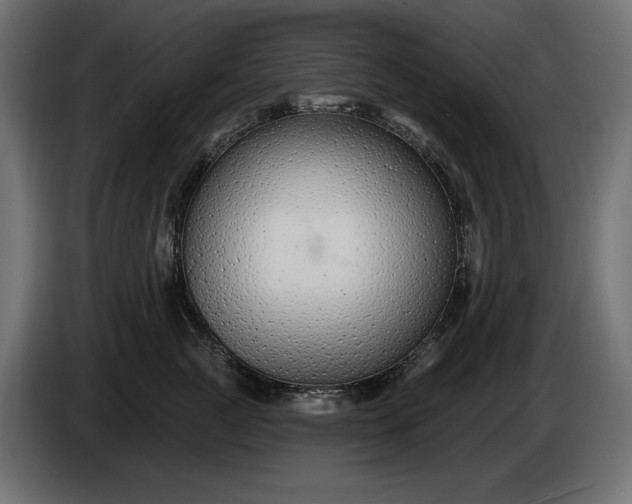 X0000086300761200704131609