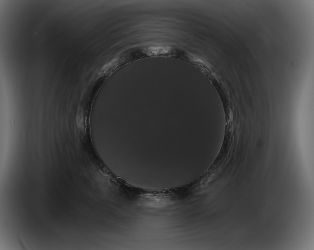 X0000086300763200704131609