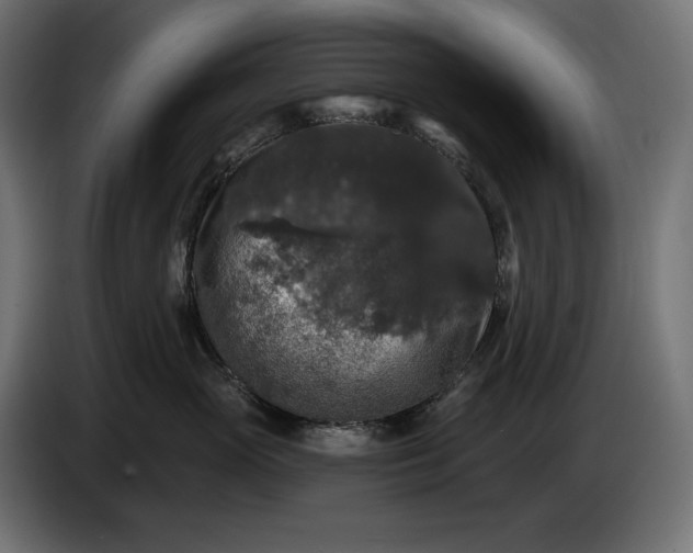 X0000086300765200704131609