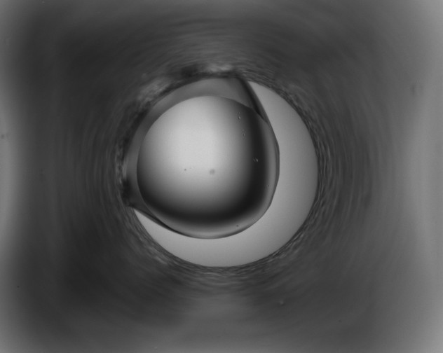 X0000086300768200704131609