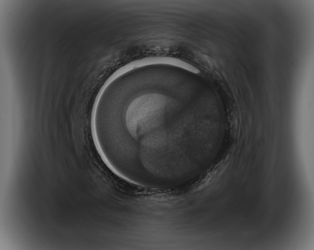 X0000086300769200704131609