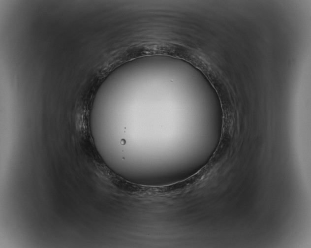 X0000086300770200704131609