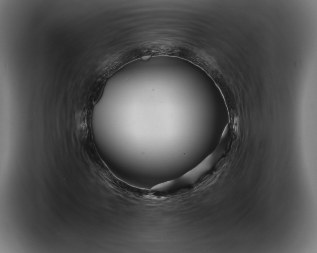 X0000086300771200704131609