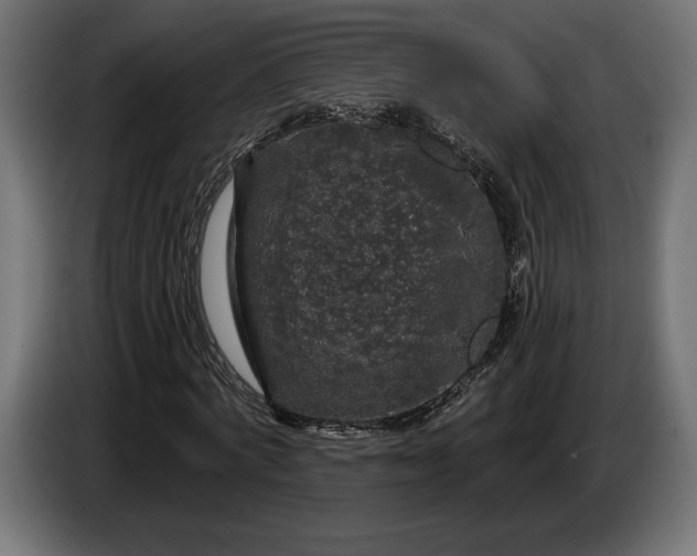 X0000086300772200704131609