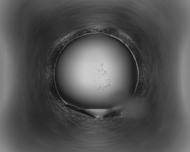 X0000086300773200704131609