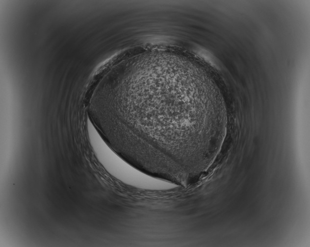 X0000086300775200704131608