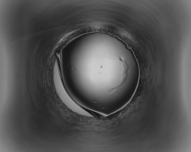 X0000086300776200704131608