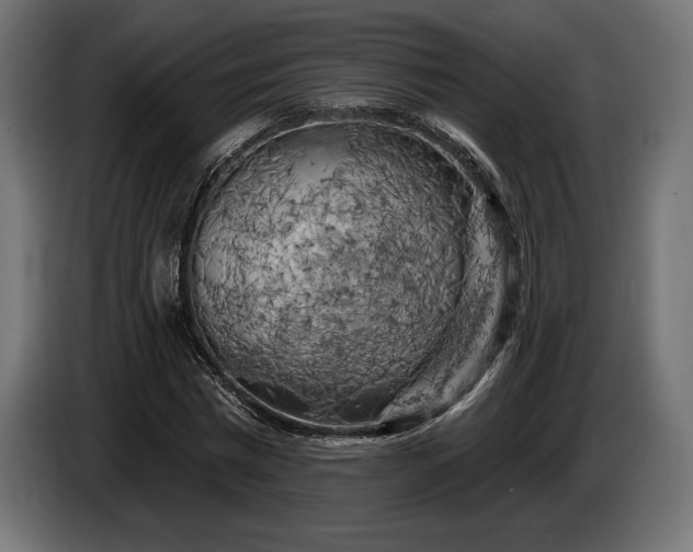 X0000086300777200704131608